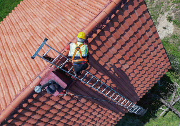 Best Roof Moss and Algae Removal  in Cambridge City, IN